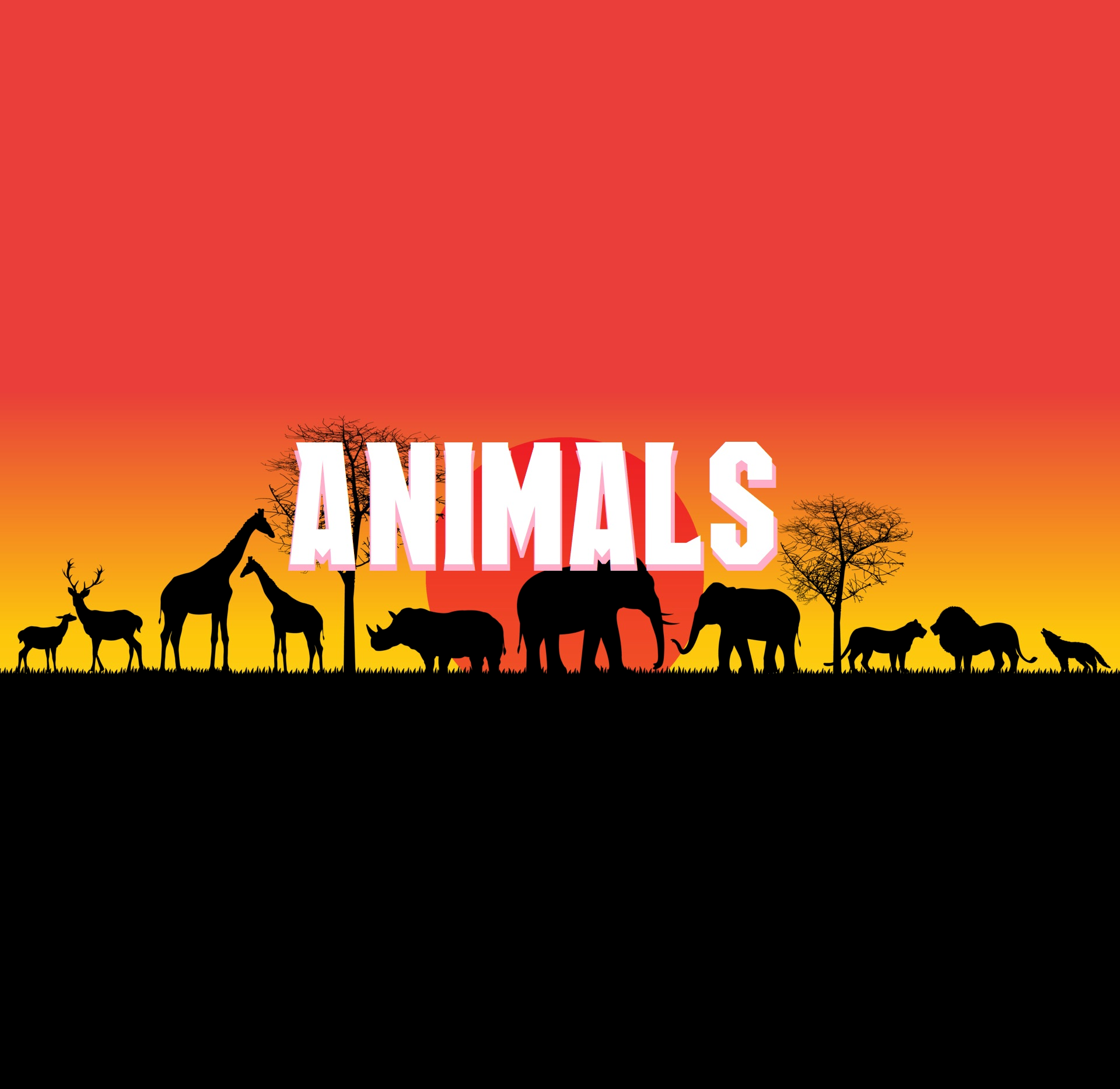 Animals